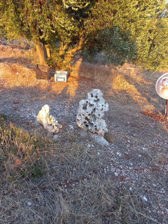 Ασβεστολιθικοί βράχοι ως εκθέματα